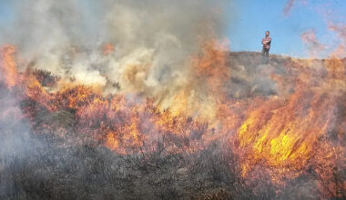 En person står på en höjd och ser ner på en ljunghed i lågor. 
