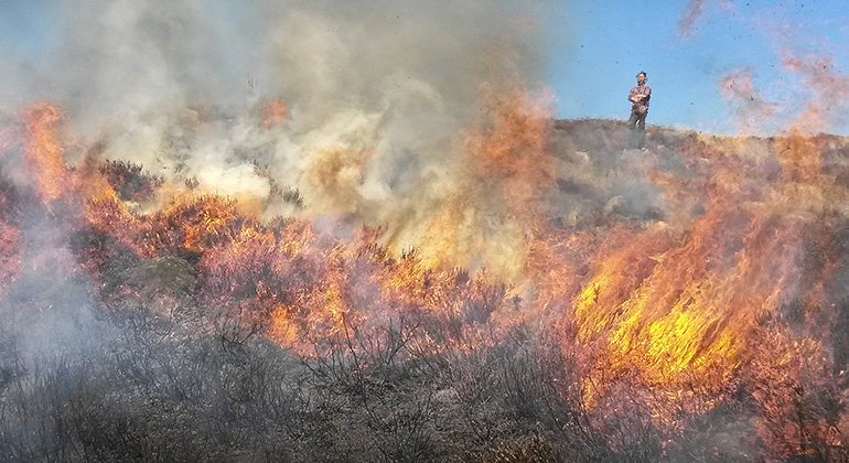 En person står på en höjd och ser ner på en ljunghed i lågor. 