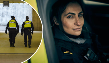 Som polis ser jag hur psykiskt sjuka släpps ut