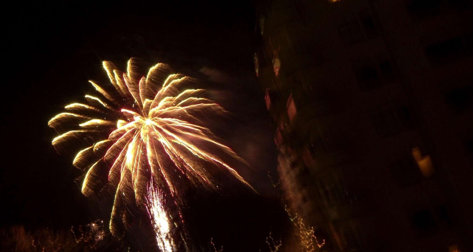 KVÄLLENS NYHETER: Ko fick avlivas efter nyårsfyrverkeri • Ny humorscen växer fram • Här är värmlänningarnas nyårslöften