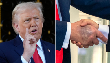 Trumps ord om sina blåmärken:
”Vill ha tunt blod”