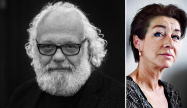 ”Sonen” av Staffan Julén • Så bra är boken