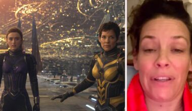 Marvel-stjärnan Evangeline Lilly hjärnskadad efter fall