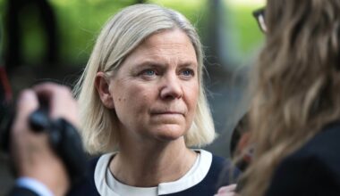 Det borde S göra för att ta makten