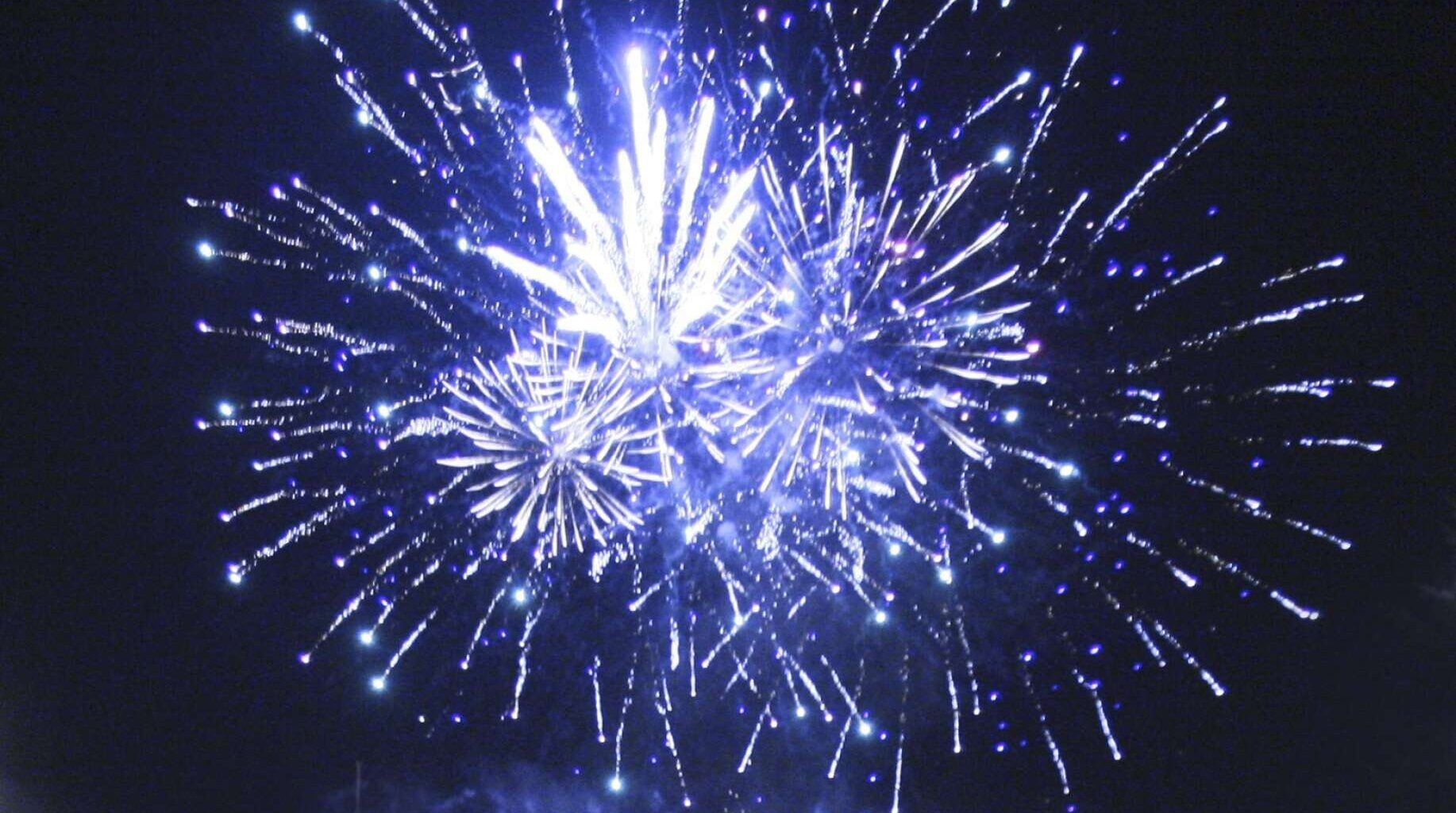 Insändare: Fyrverkerier – fest för vissa, skräck för våra djur