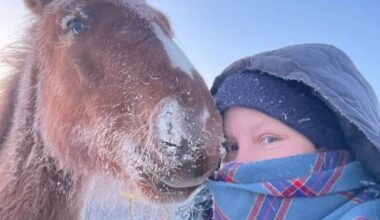40 minusgrader.
Så kallt var det under natten i Gielas i Västerbotten.