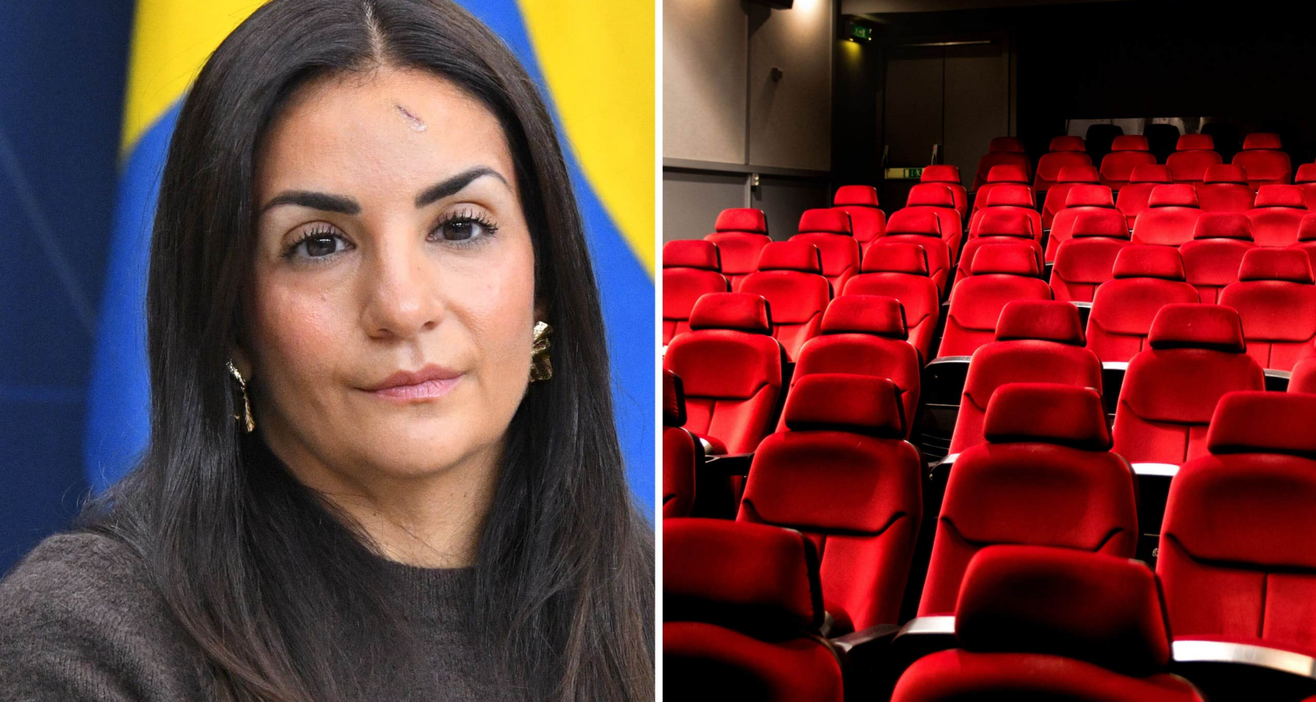Regeringen vill se ny filmpolitik före valet