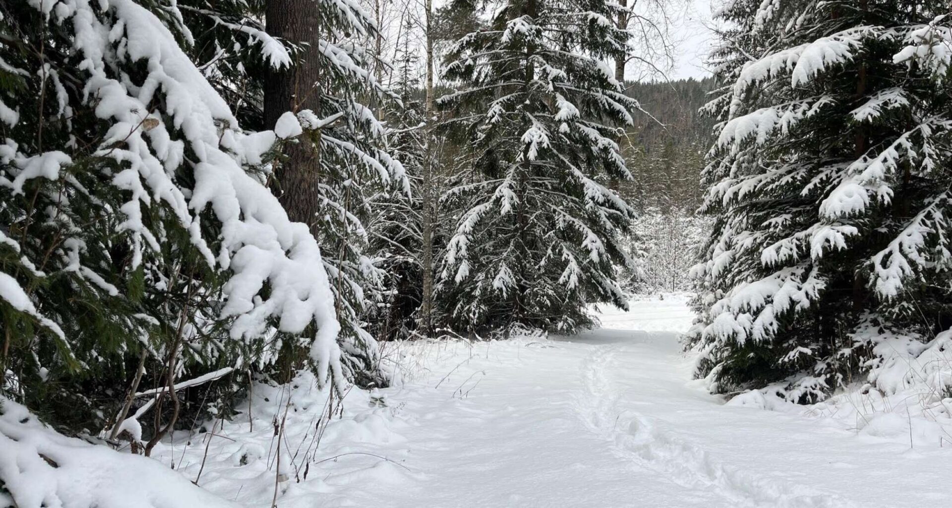 Vädret i veckan: Fortsatt kallt och mer snö - Arvika Nyheter