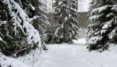 Vädret i veckan: Fortsatt kallt och mer snö - Arvika Nyheter
