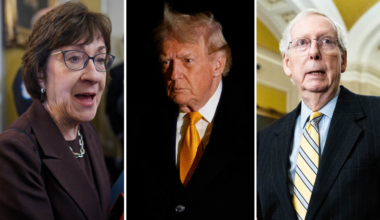 Planen för att stoppa Trumps planer för Grönland