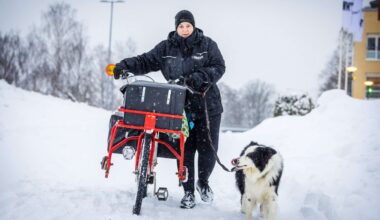 Så tacklade värmlänningarna snöovädret: ”Han mår som en kung” - NWT