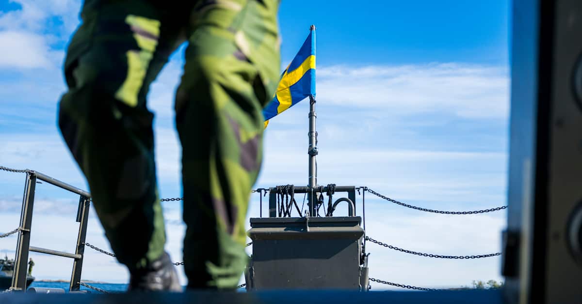 Man som jobbat för svenska försvarsmakten begärs häktad för spioneri | Utrikes