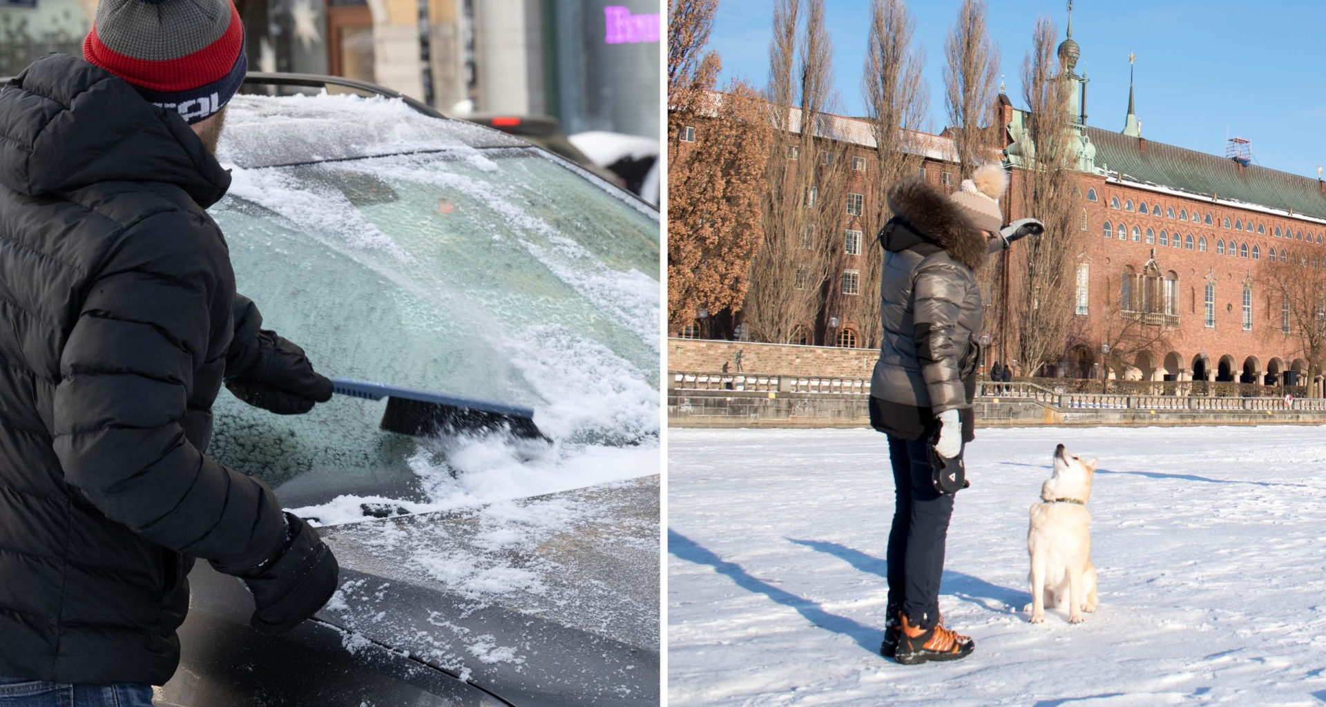 Det blir kallt, men soligt, i helgen.
