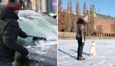 Det blir kallt, men soligt, i helgen.