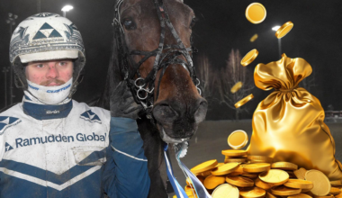 Magnus A Djuse tips för 130 miljoner i V85 rekordjackpot