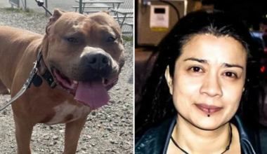 Antonia, 44, dog efter hundattacken i Göteborg