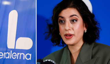 Paniken i L efter nya skräcksiffran i opinionen: ”Stark oro”