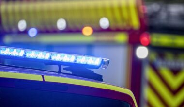 Byggnad rasade – full med kor och får: ”Fått ut en del av djuren” - NWT