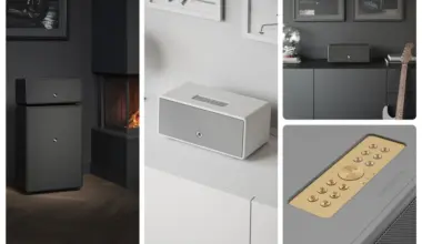 Kungen av rock ’n’ roll inom generation W