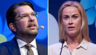 Jimmie Åkesson om rattfyllerimisstankarna mot Katja Nyberg