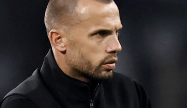 Officiellt: Tottenham anställer Heitinga - Premier League