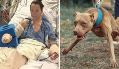 Attackerades av sin egen hund – tvingades amputera benet