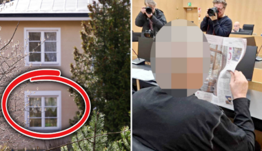 Mördaren reste från Sverige – högg ihjäl miljonär i lyxvilla