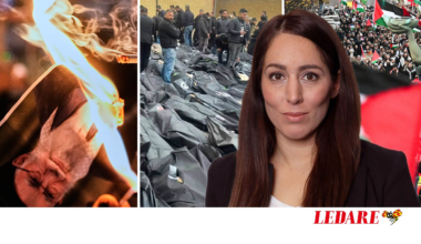 Svenska Gaza-aktivister
hyllar mördarna i Iran | Sofie Löwenmark