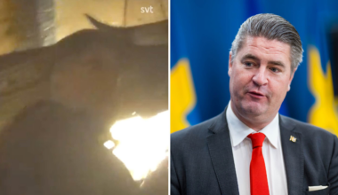 SD-toppen Oscar Sjöstedt dök upp på misstänkt svartpub