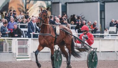 V65 Tips Bergsåker 30/1: Två spikar med absolut toppchans!