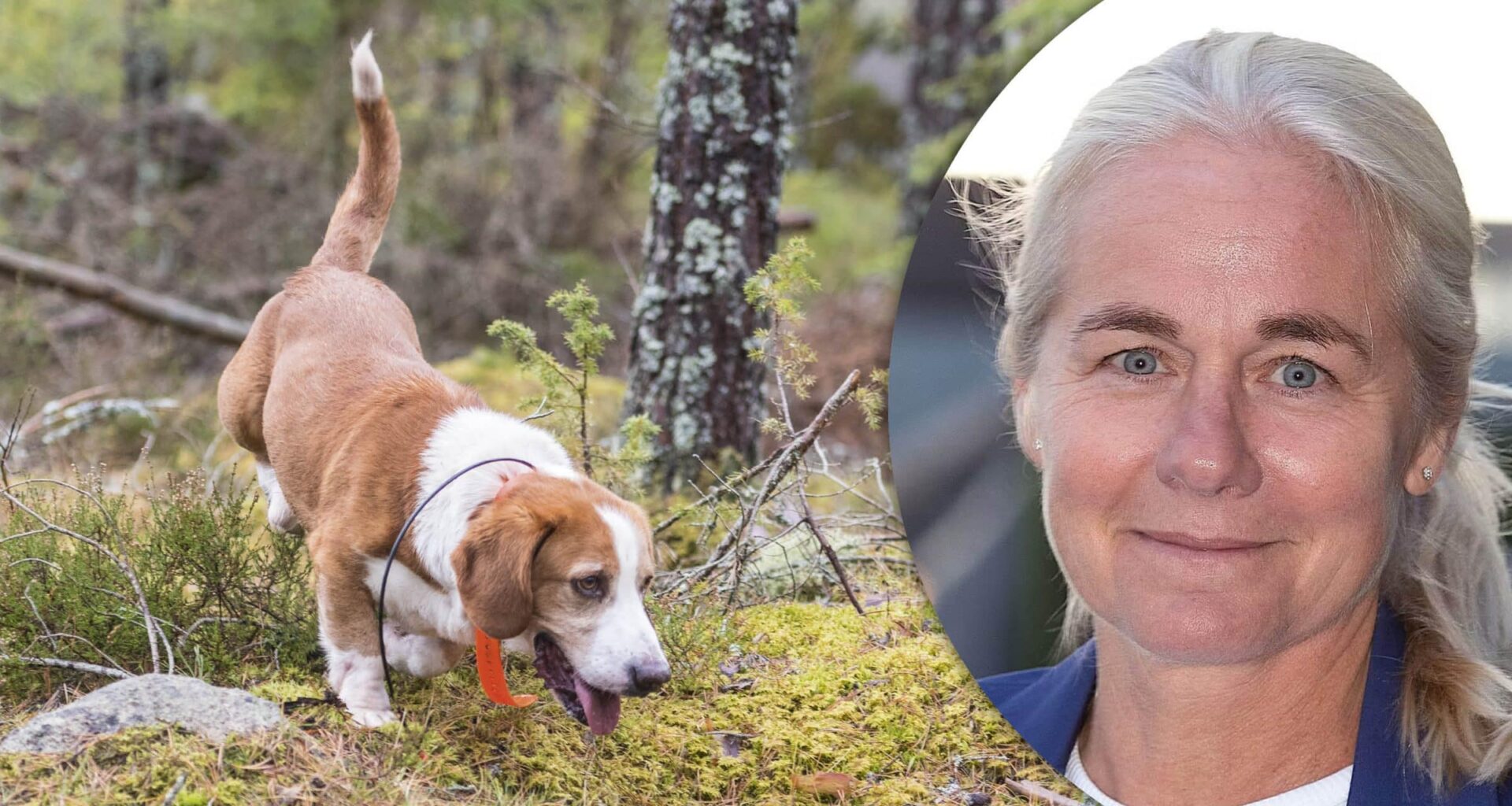 Ny generalsekretare i Svenska kennelklubben