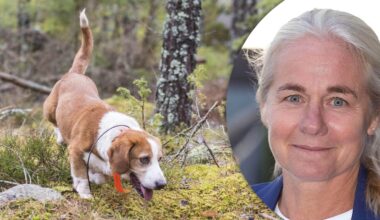 Ny generalsekretare i Svenska kennelklubben