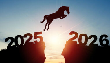 Årskrönikan: In i Hästens år med tro, hopp och kärlek