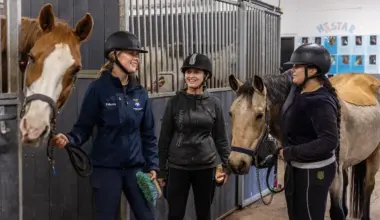 Gå till artikel: Ungdomar - nu är det dags att söka till Hästnäringens unga ledare