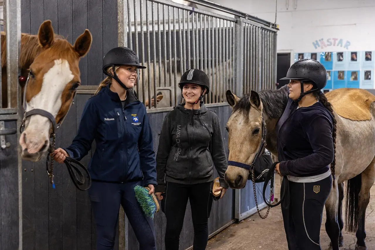 Gå till artikel: Ungdomar - nu är det dags att söka till Hästnäringens unga ledare