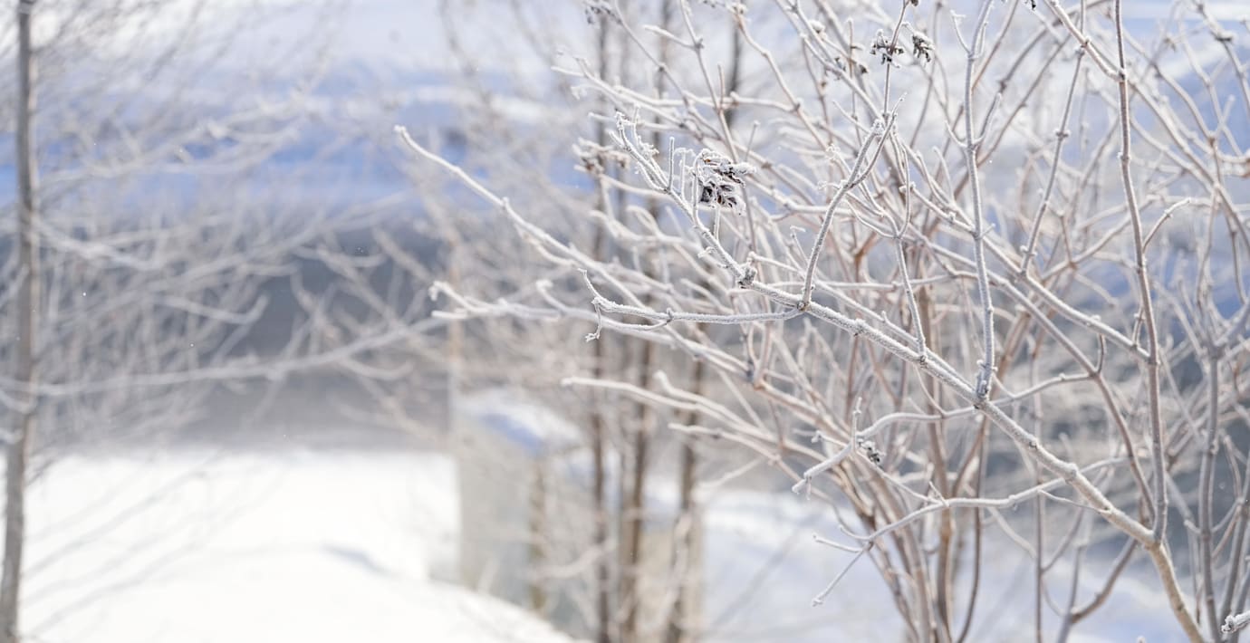 ”Jag måste ut i eländet”