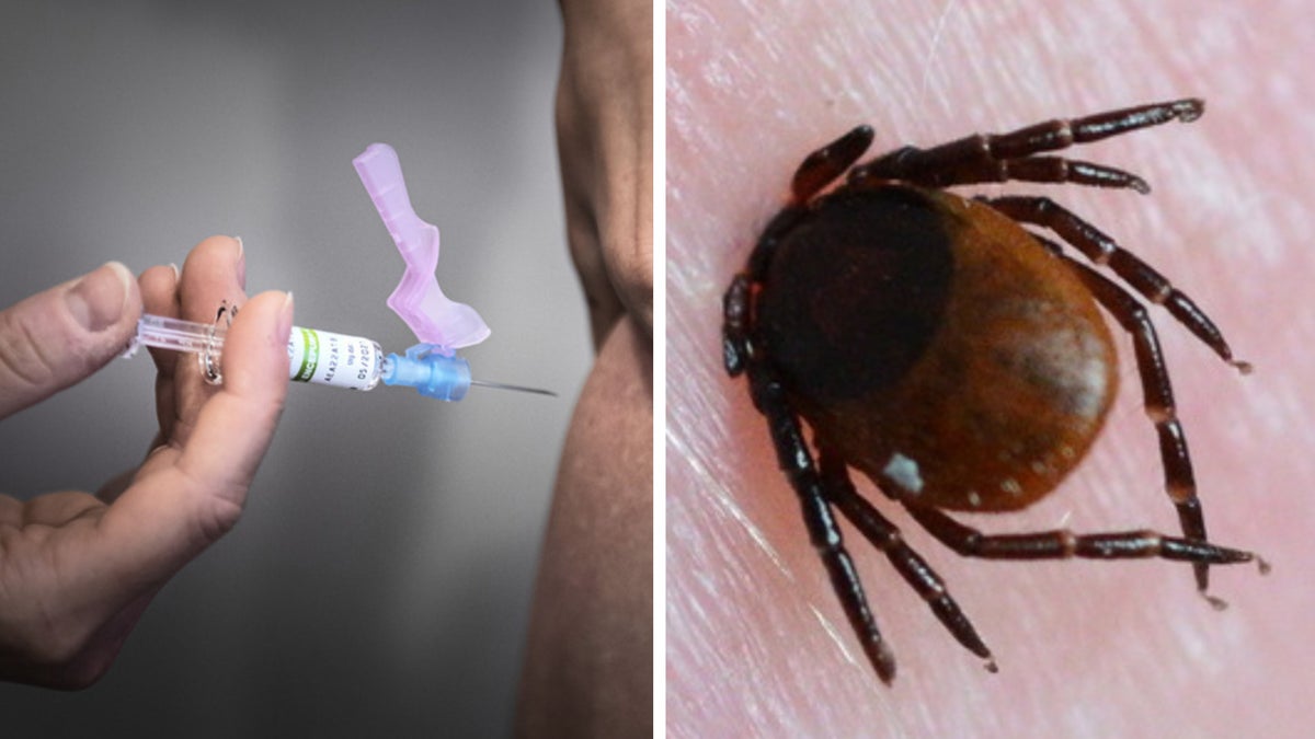 Nu får treåringar gratis TBE-vaccin – Borås Tidning