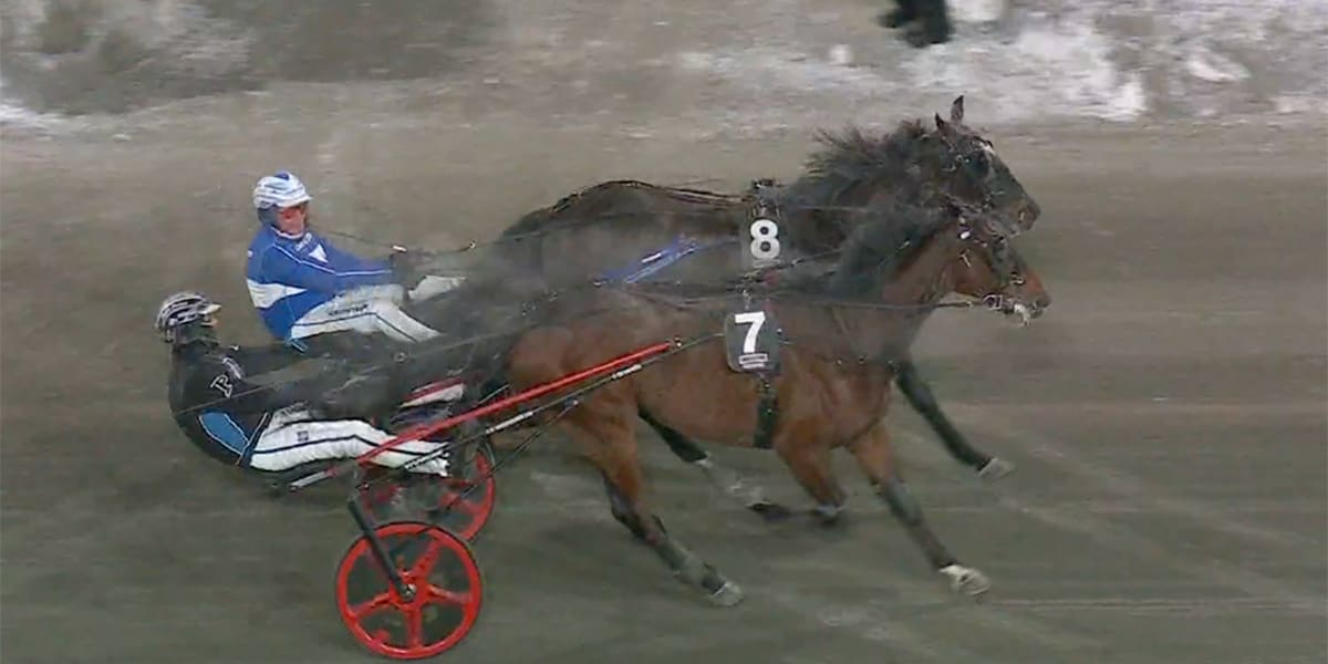 Målfoto i V85–4. Då vann Stefan Persson och Karat River. 