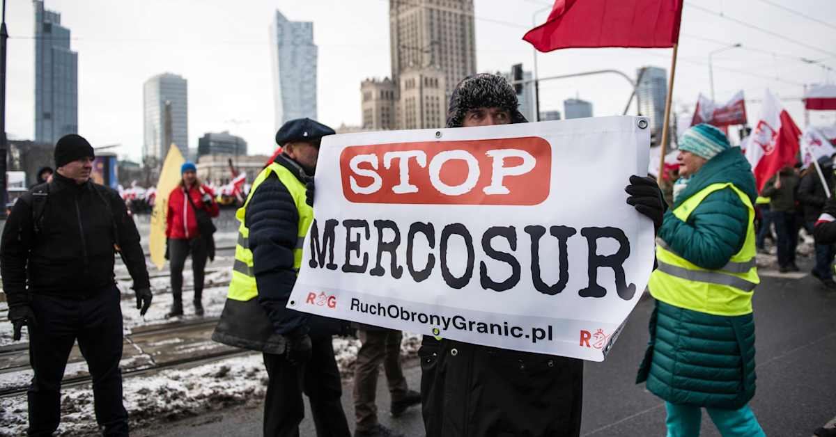 EU-länder godkände frihandels­avtalet Mercosur efter 25 år av förhandlingar – det här betyder det | Utrikes