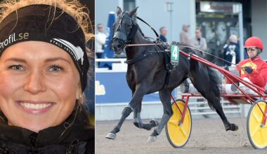 Analys, spikar, skrällar och system • Jackpott 130 miljoner