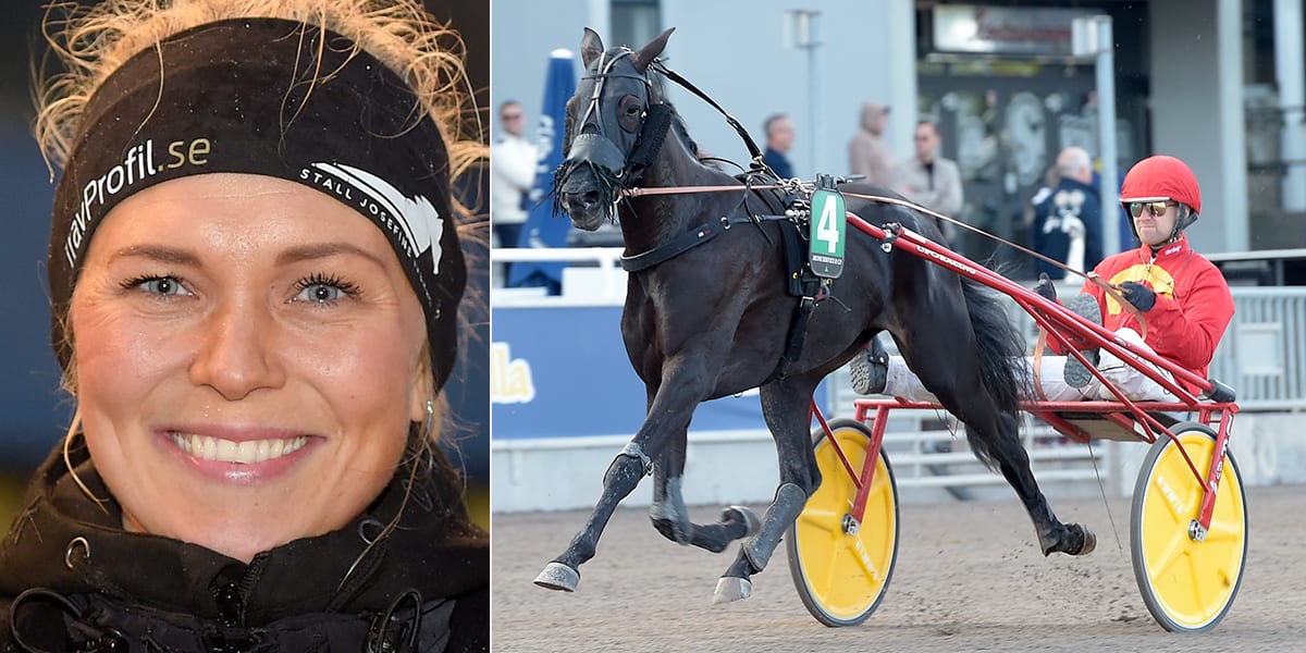 Josefine Ivehags Kapucine d'Inverne är en av skrällarna i V85-avslutningen.