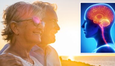 Det är gemensamma faktorer hos ”supergamlingarna”