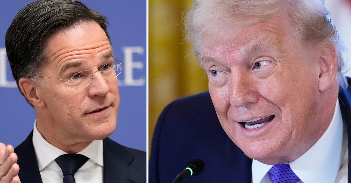 Rutte vägrar att kritisera Trump