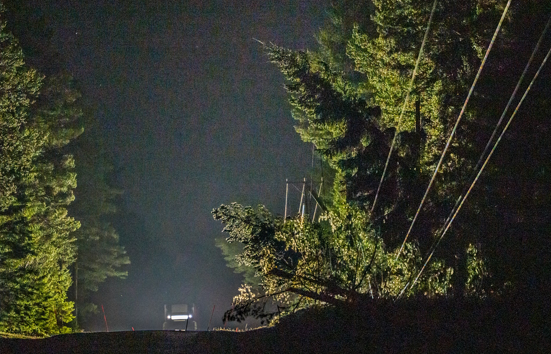 Träd över elledningar efter stormen Johannes framfart.