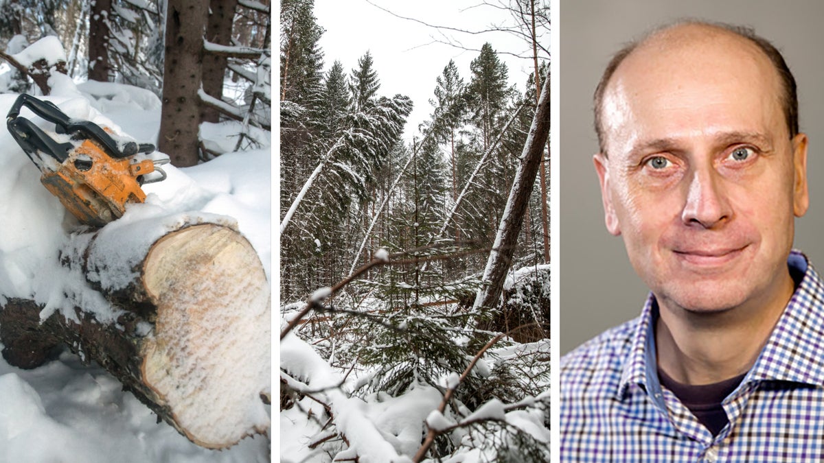 Stormen Johannes slog hårt mot Sverige – Roslagen slapp värsta förödelsen – Norrtelje Tidning