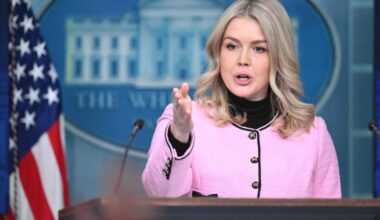 Vita huset: Europeiska soldater på Grönland förändrar inget - Hufvudstadsbladet