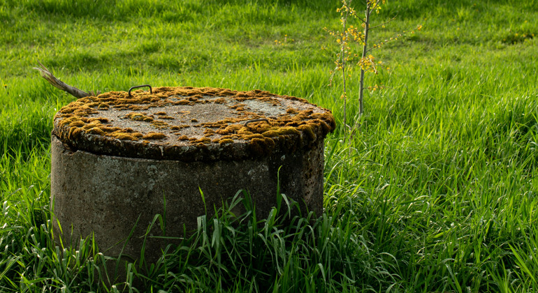 Betongbrunn från täckdikningen vid fältkanten av en grön åker.