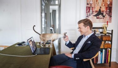 Bildning sker inte på kommando | Mattias Svensson