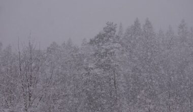 Snövarningar i Uppsala län har upphört