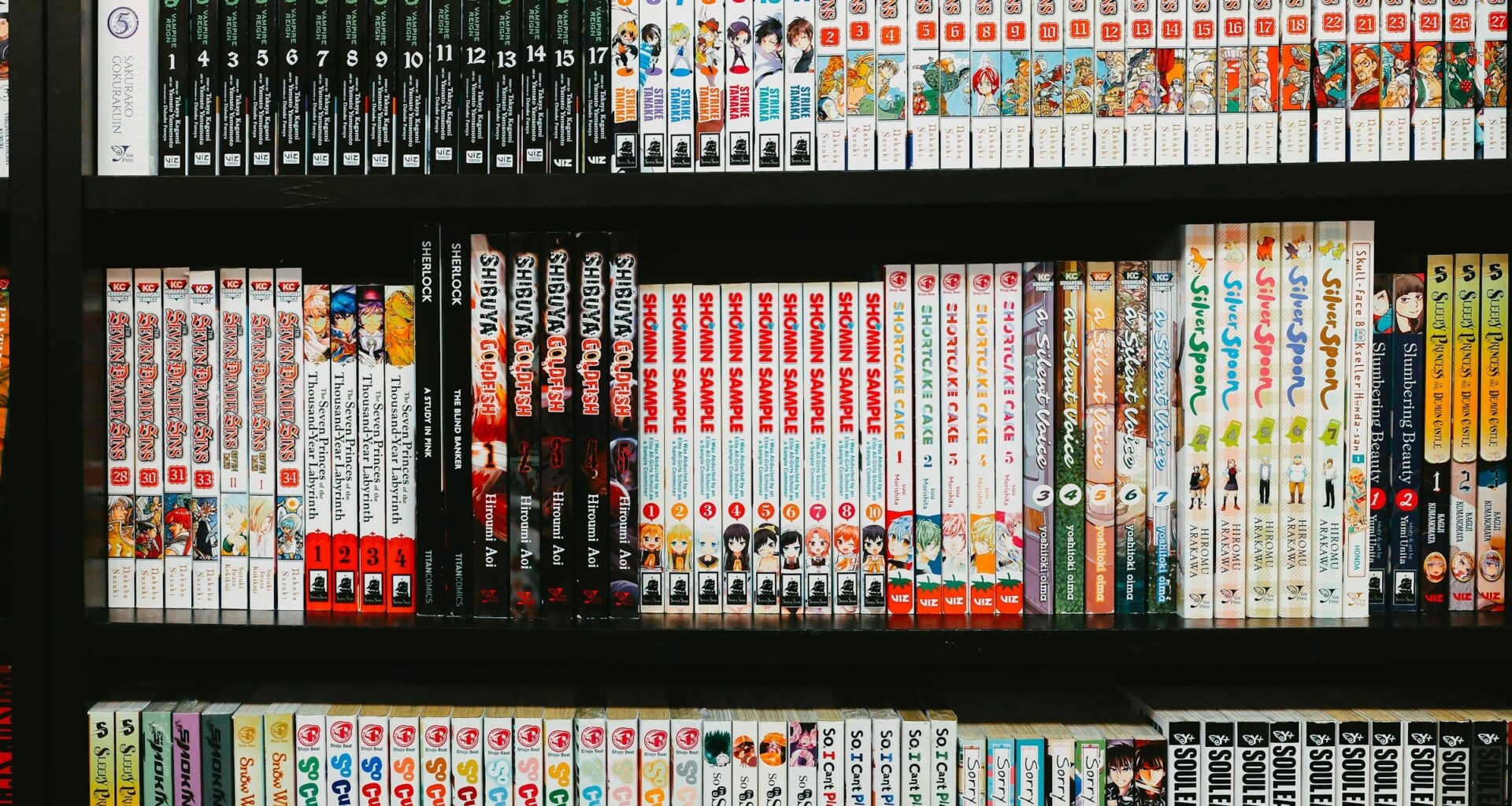 En av världens största piratsajter för manga stängs. Bato.to fick inte vara kvar.